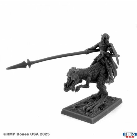 DARK ELF HERO ON LIZARD