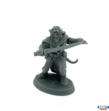 Skarix Sablecloak, Hellborn Rogue