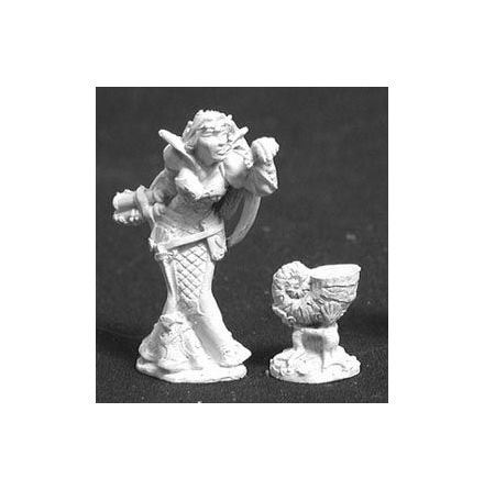 Arilynn Water Elementalist Sorcerer