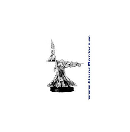 MORTRHON WIDOWSPEAR, FIR BOLG CHAMPION (1 figur per f�rpackning)