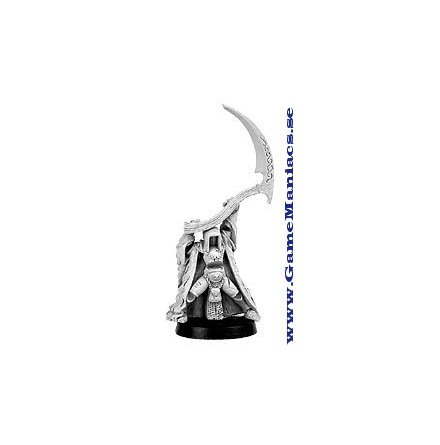 SHADOW LORD, FIR BOLG CHAMPION (1 figur per f�rpackning)