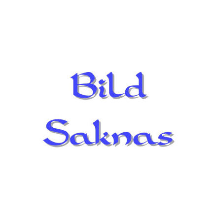 Panzer Grenadier, Red Warriors exp