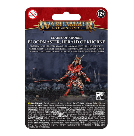 BLADES OF KHORNE: BLOODMASTER HERALD OF KHORNE