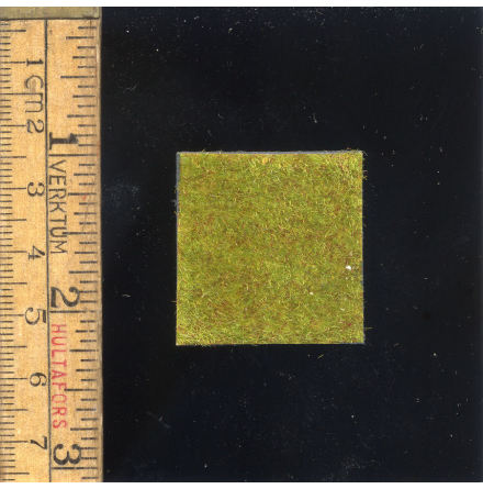Lawn for European City House 30x30 mm (1)