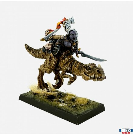 FEMALE DARK ELF ON LIZARD