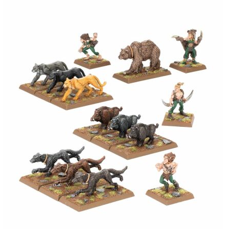 OLD WORLD: WOOD ELF BEAST PACK (metal)
