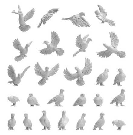 Pigeons 1:48-1:35